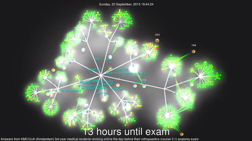 Visualizing 24 hours of medical students cramming anatomy