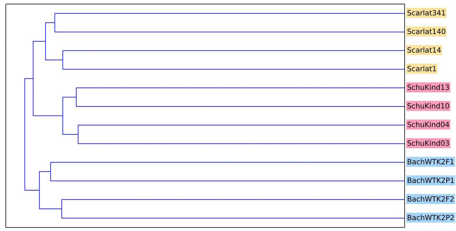 NCD Dendrogram of Classical Classification